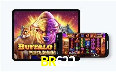 Explore as vantagens do BR622: serviço profissional e confiabilidade